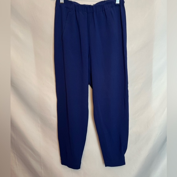 Babaton Dexter Pants - Picture 4 of 13